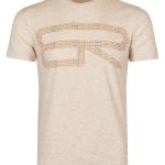 BEARRAYBON Erkek T-shirt 10047