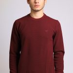 THE WILD WALKING Erkek Triko Kazak 2414