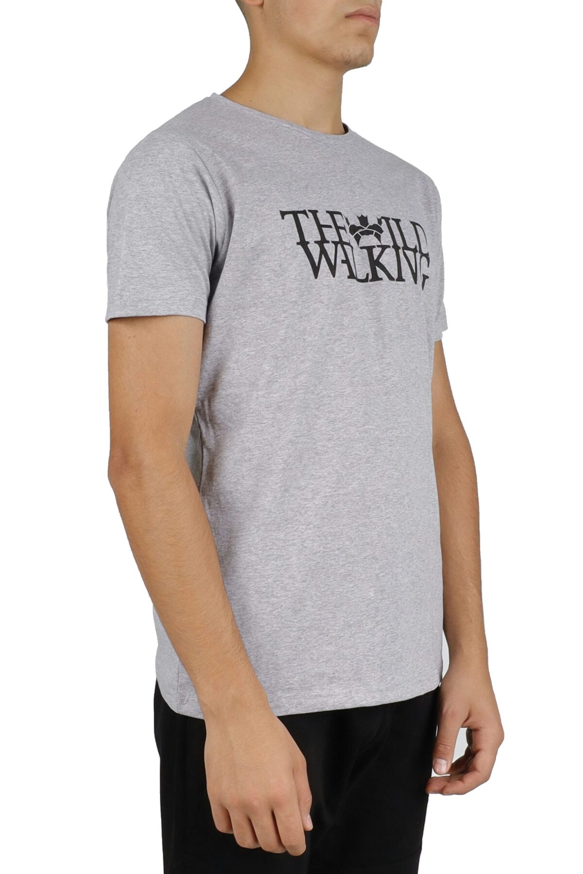 THE WILD WALKING Erkek T-shirt 7051 - Görsel 2